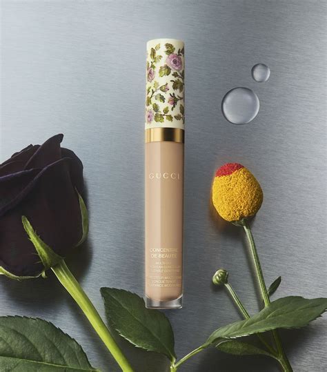 22W, Concentré de Beauté, Concealer 